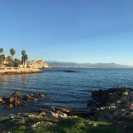 Juan-les-pins Cozy One Bedroom Near The Beaches And The Restaurants Antibes