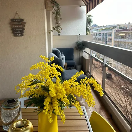 Juan-les-pins Cozy One Bedroom Near The Beaches And The Restaurants Апартаменты *